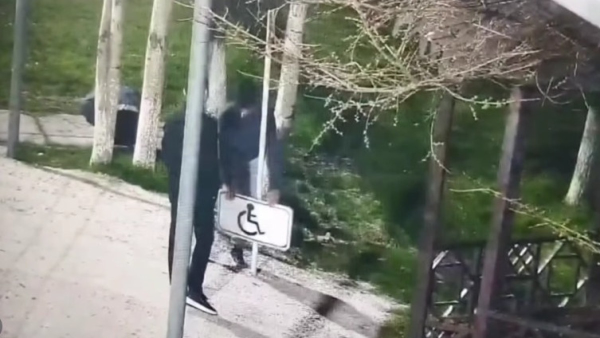  видеодан скриншот