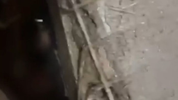 Фотография к новости: Нәжіске батқан: Алматыда жоғалып кеткен бойжеткен әжетханадан табылды