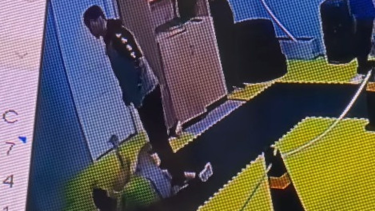  видеодан скриншот