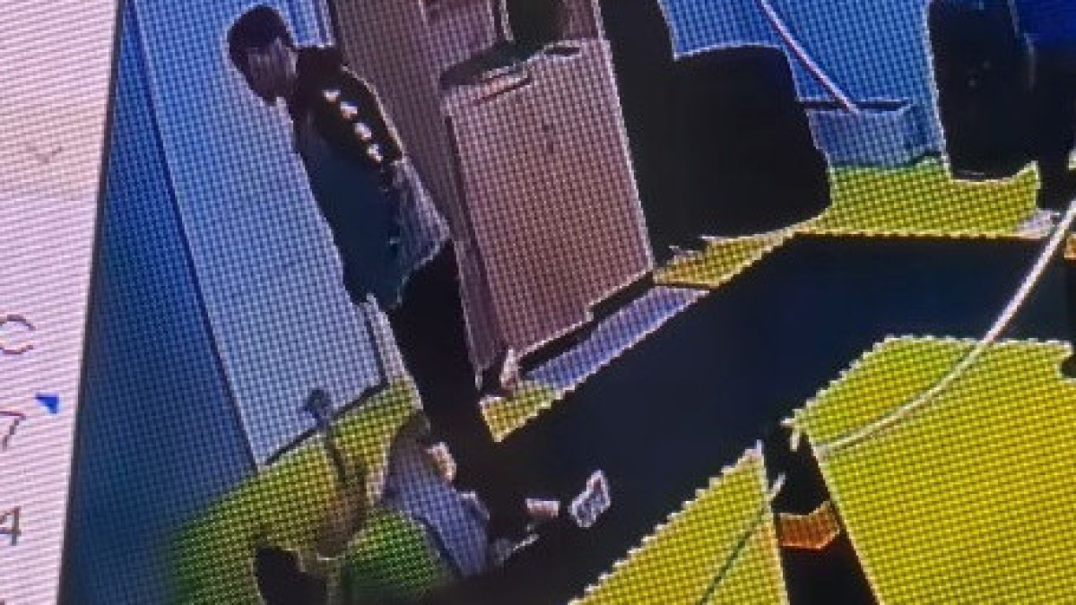  видеодан скриншот