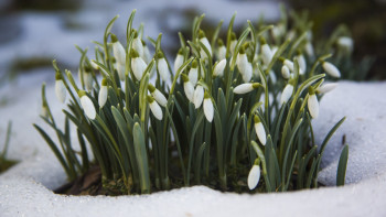 Фотография к новости: Қазақстанға көктемгі жылу қашан келеді – синоптиктер нақты күндерді атады