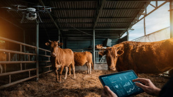 Фотография к новости: Егінді дрон бақылап, сиырды робот сауатын фермалар пайда болды