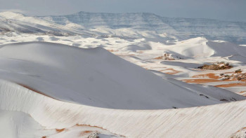 Фотография к новости: Сахарада қар жауды: Әлемдегі ең ыстық шөл әп-сәтте аппақ қарға оранды