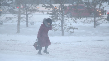 Фотография к новости: Адамдар ескертуді елемейді: ТЖМ дабыл қақты 