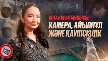 Фотография к новости: Аптаның басты талқысы: қауіпсіздік, айыппұл және қаңғыбас иттер