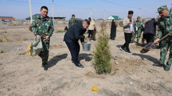 Фотография к новости: Алматы облысында «Дауыс бер де, өз ағашыңды отырғыз» акциясы аясында 30 көшет егілді