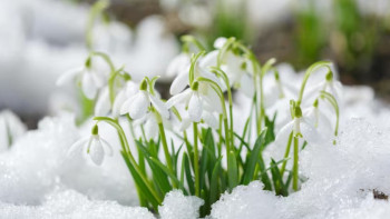 Фотография к новости: +20 градусқа дейін жылынады: Алдағы үш күнге арналған ауа райы болжамы