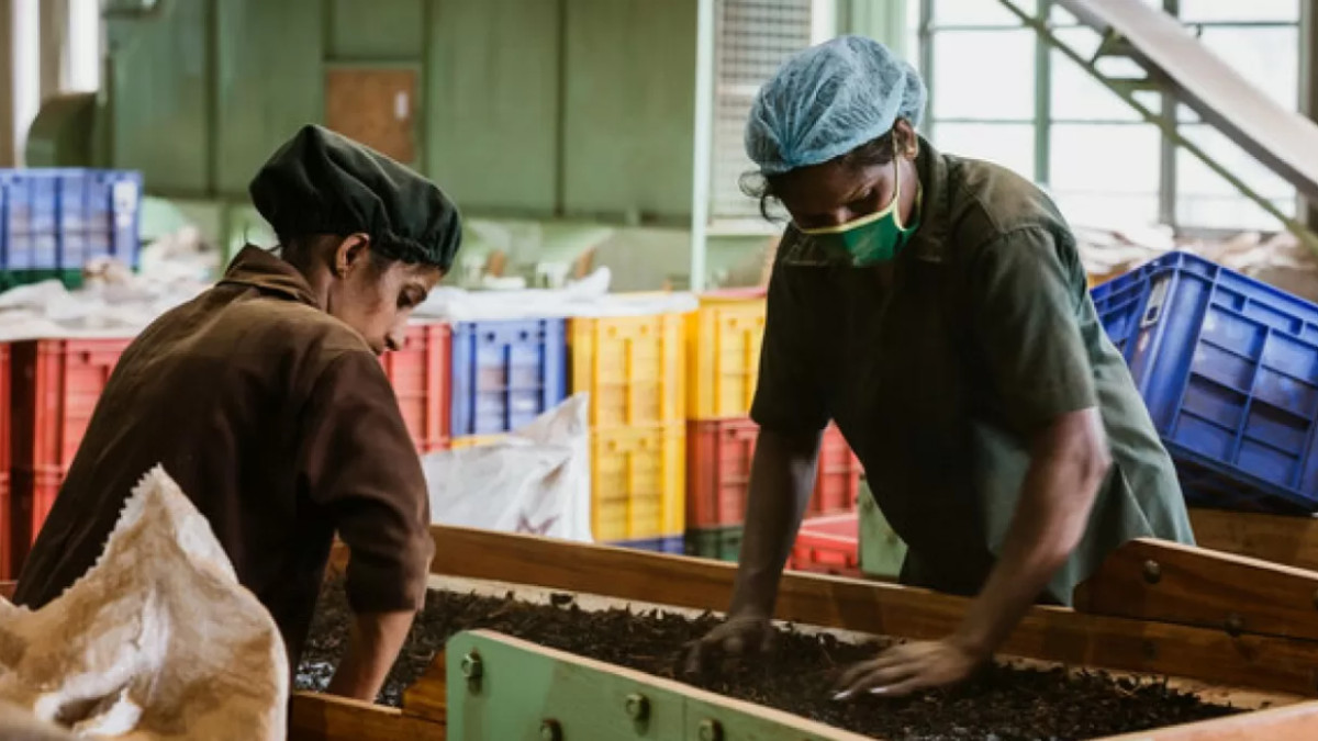  Shutterstock / ашық дереккөз