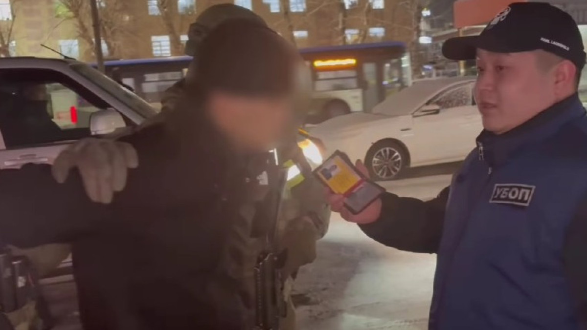  видеодан скриншот