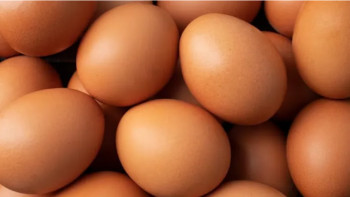 Фотография к новости: Германияда Пасха қарсаңында жұмыртқа тапшылығы ушығуы мүмкін