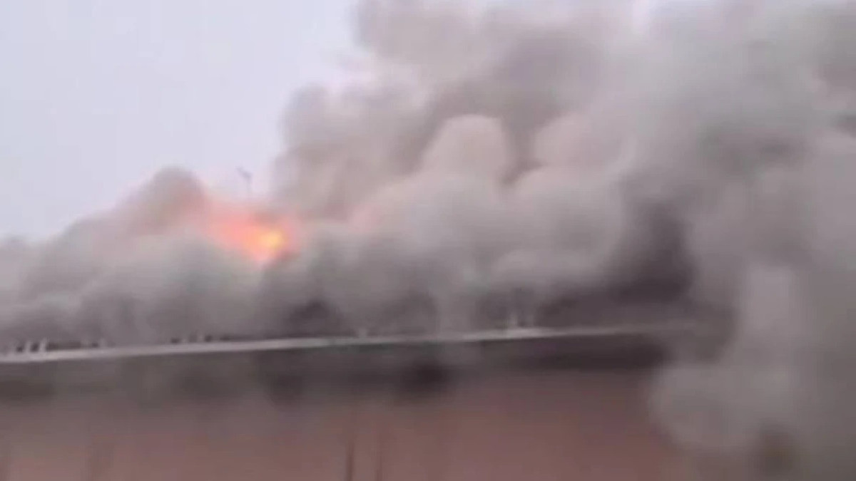  видеодан кадр