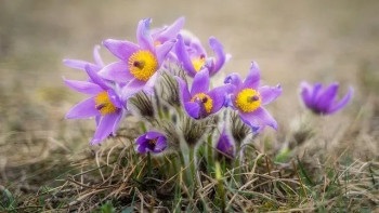 Фотография к новости: +30: Қазақстанда күн күрт жылынады