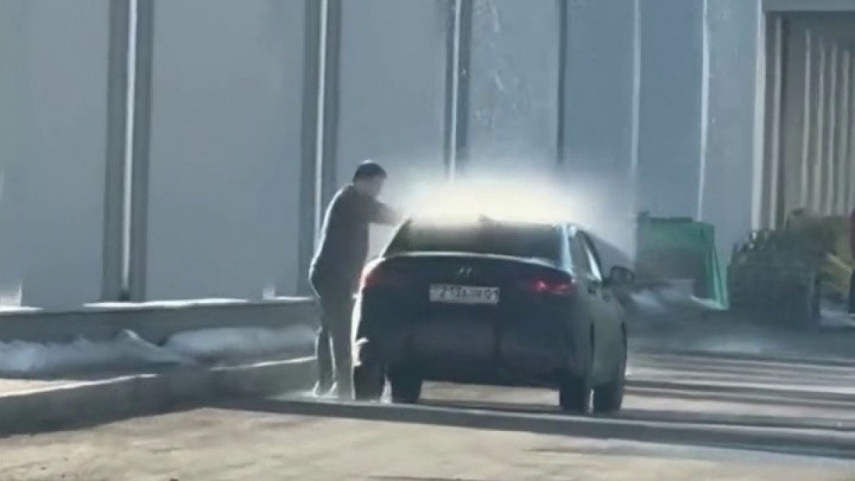  видеодан скриншот