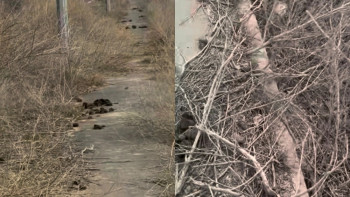 Фотография к новости: "Ақша қайда кетті?": Атырау тұрғындары тротуарлар мен аулалардың жағдайына шағымданды