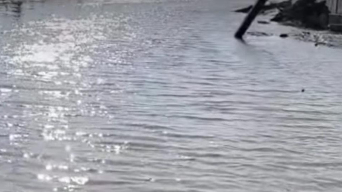  видеодан алынған кадр