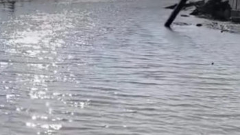 Фотография к новости: Көшелерді су басып жатыр: Әкімдік БҚО ауылындағы жағдайды түсіндірді