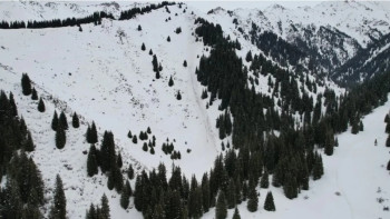 Фотография к новости: Тауға бару қауіпті: ТЖМ қазақстандықтарға маңызды ескерту жасады