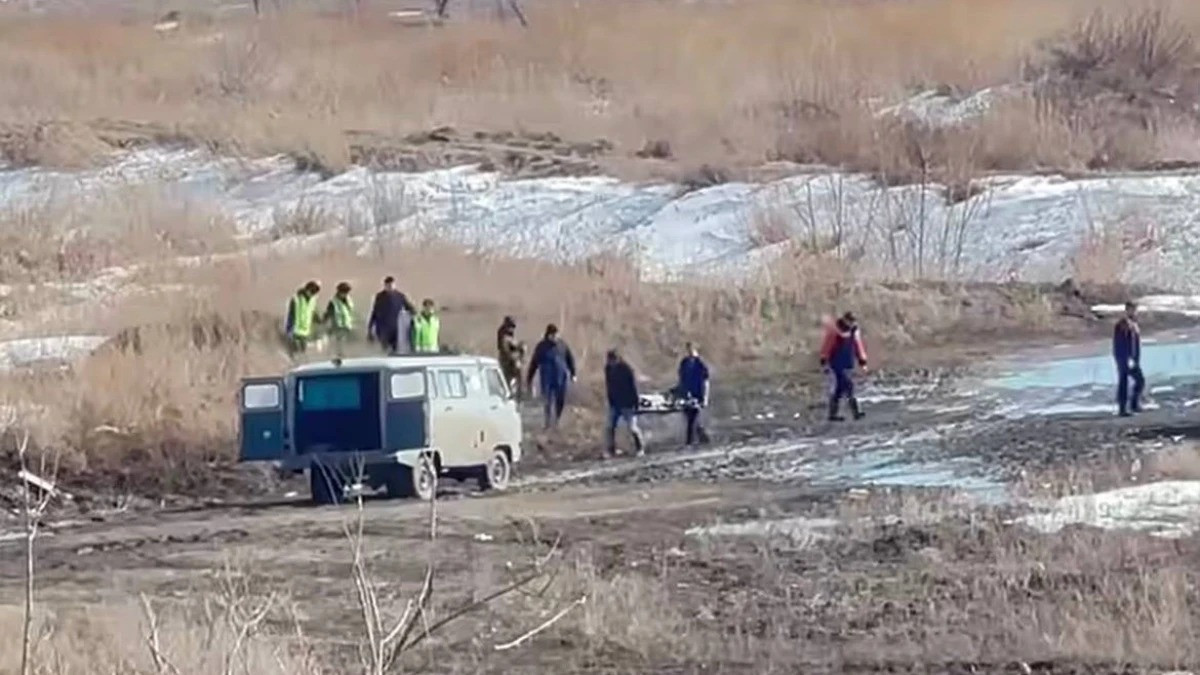  видеодан кадр