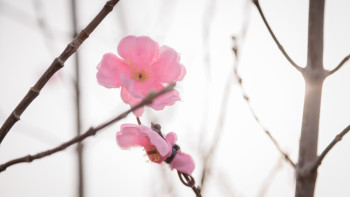 Фотография к новости: +32 градус ыстық: Сәуірде ауа райы қандай болады?