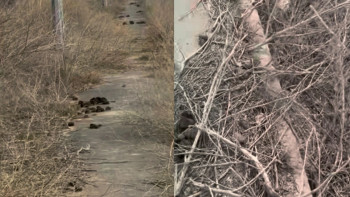 Фотография к новости: "Тазалыққа бөлінген қаржы қайда?": Атырау әкімдігі халық шағымына жауап берді