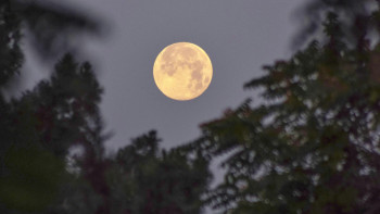 Фотография к новости: 1 сәуірде аспанда "Қызғылт Ай" көрінеді: Сирек құбылыс туралы нені білу маңызды?