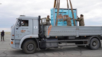 Фотография к новости: Пржевальский жылқылары жайылымсыз қалмайтын болды