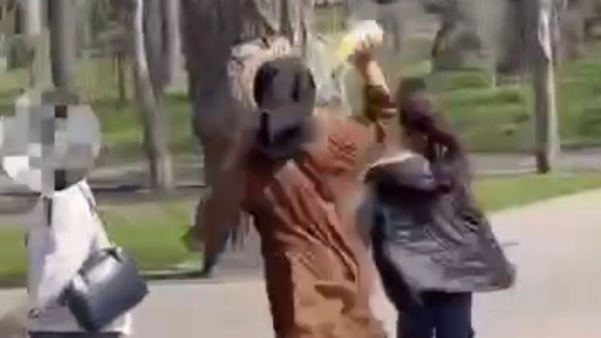  видеодан скриншот