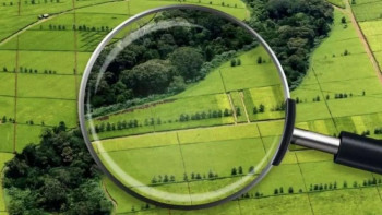 Фотография к новости: Әлемдік рейтинг: Қазақстан ауыл шаруашылығы көлемі бойынша қай орында? 