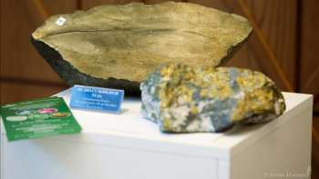 Фотография к новости: Жер қойнауының құпиялары: Қазақстанның сирек минералдары туралы не білеміз?