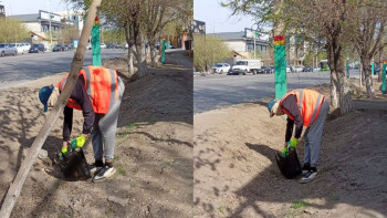 Фотография к новости: "Оңай табыс тапқым келді": TikTok-та "бизнес" жасаған 19 жастағы жігіт сотталды