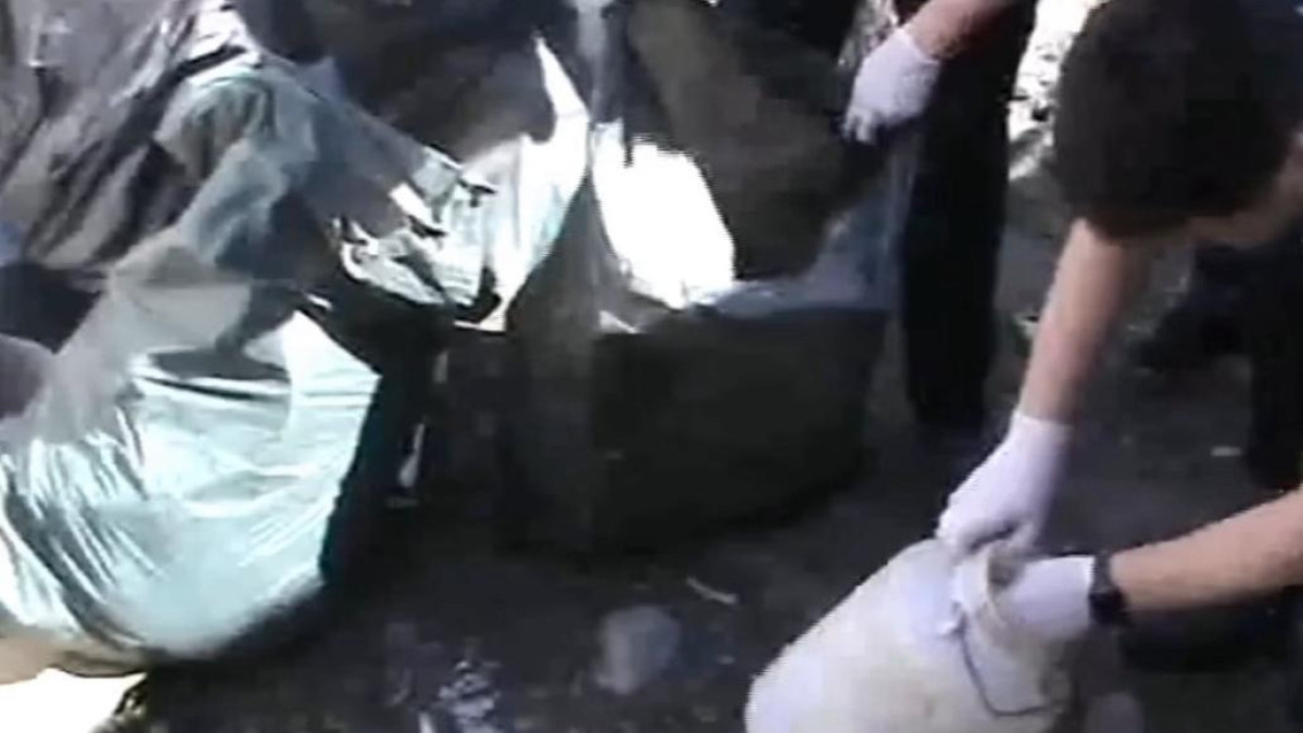  видеодан алынған кадр