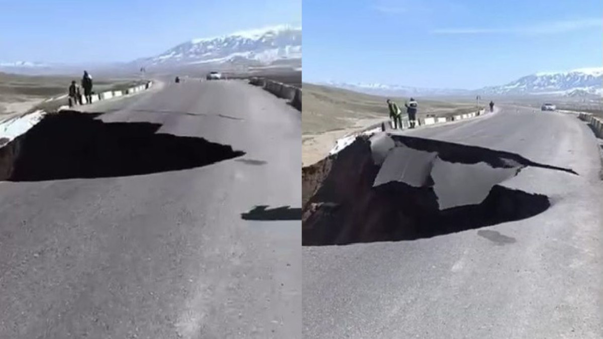  видеодан алынған кадр