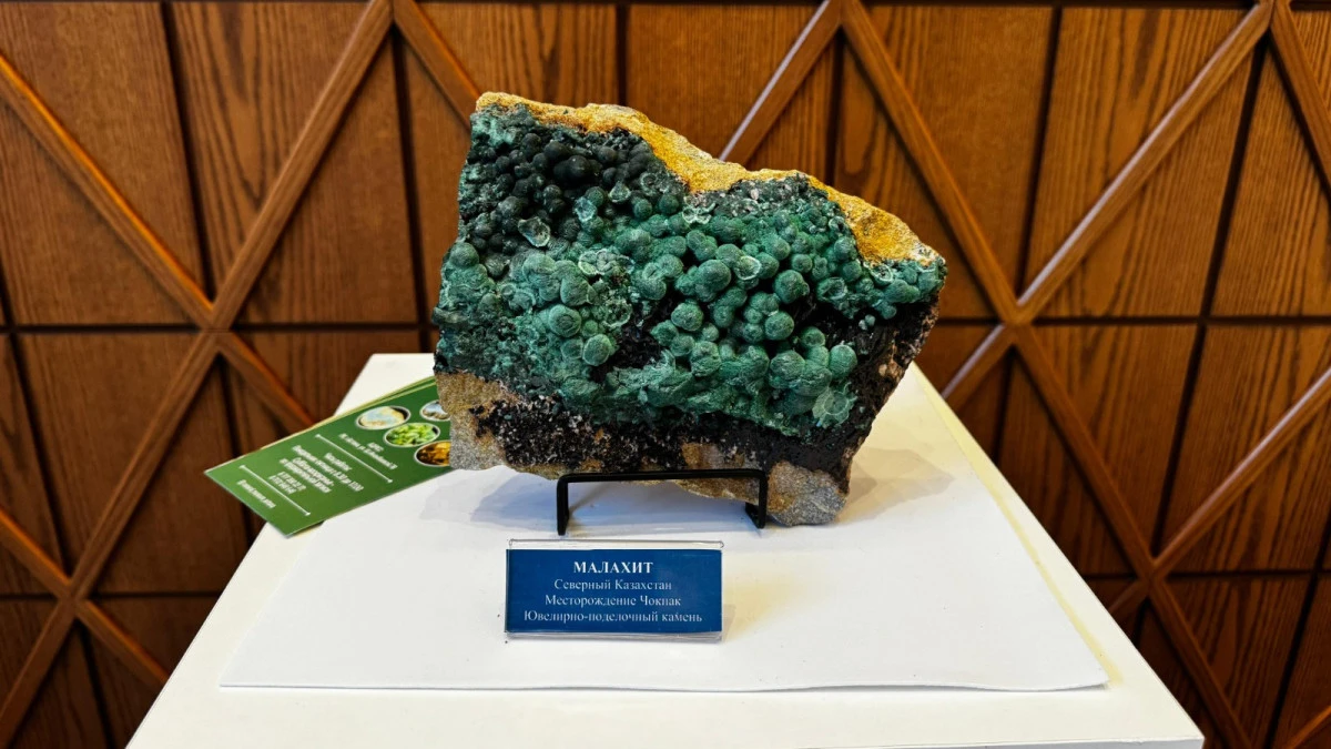 Қазақстанда сирек минералдардың 800 мың тоннаға жуық қоры бар ірі кен орны ашылды