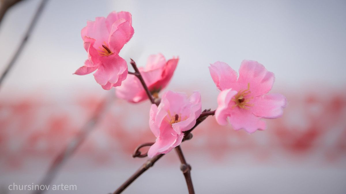  ©BAQ.KZ архиві/Артем Чурсинов