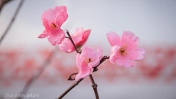 Фотография к новости: Қазақстандықтар мамыр айында қанша күн демалады?