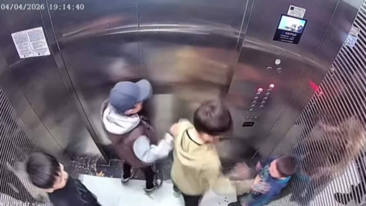  видеодан скриншот