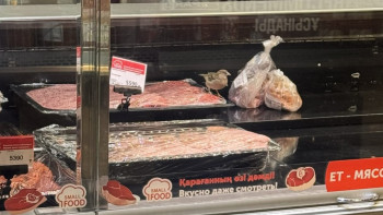 Фотография к новости: Астанадағы сауда дүкеніндегі шикі ет үстіндегі торғайлар жұртты шошытты