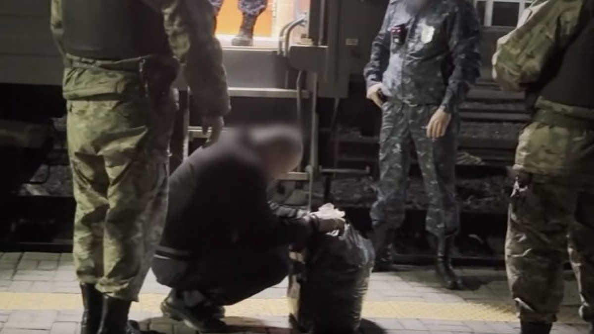  видеодан скриншот