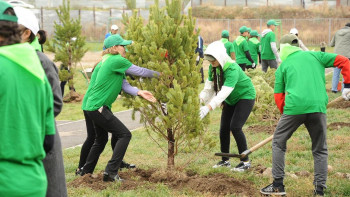 Фотография к новости: Таза Қазақстан: Биыл Алматыда 550 мыңнан астам ағаш егіледі