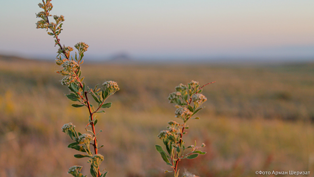  ©BAQ.KZ архиві/Арман Шеризат