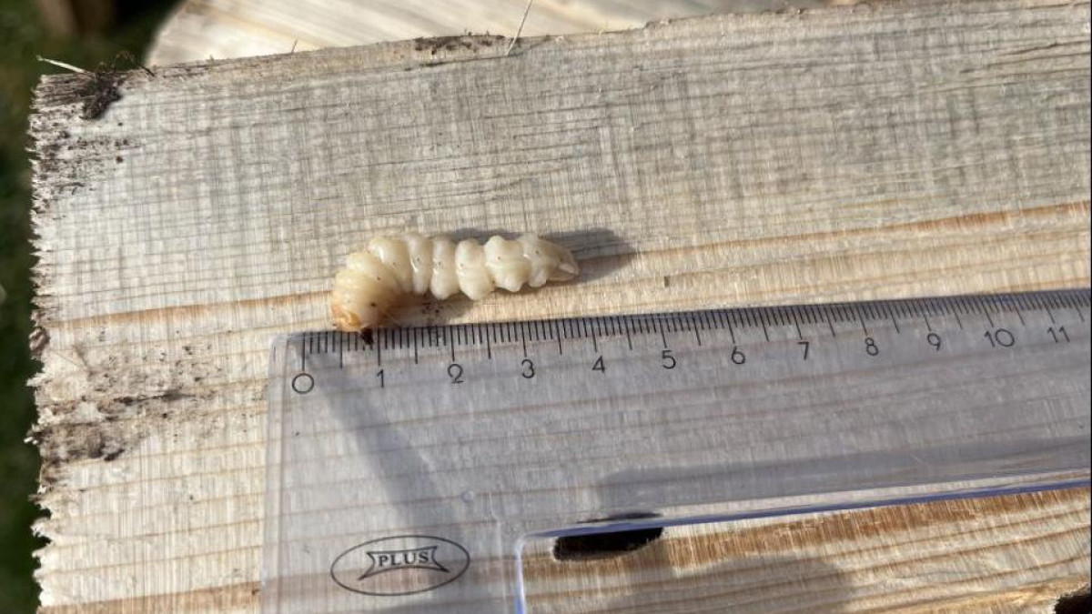  Ауыл шаруашылығы министрлігі