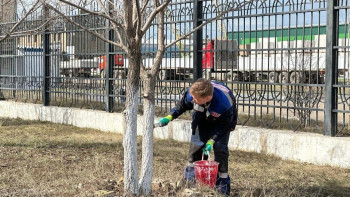 Фотография к новости: Елордада «Таза Қазақстан» акциясы аясында зауыт аумағы тазартылды