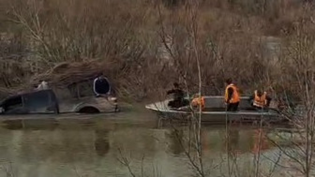  видеодан скриншот