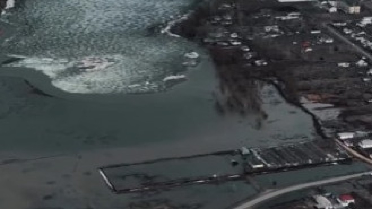  видеодан скриншот