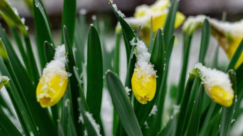 Фотография к новости: Бүгін еліміздің басым бөлігінде күн райы бұзылады