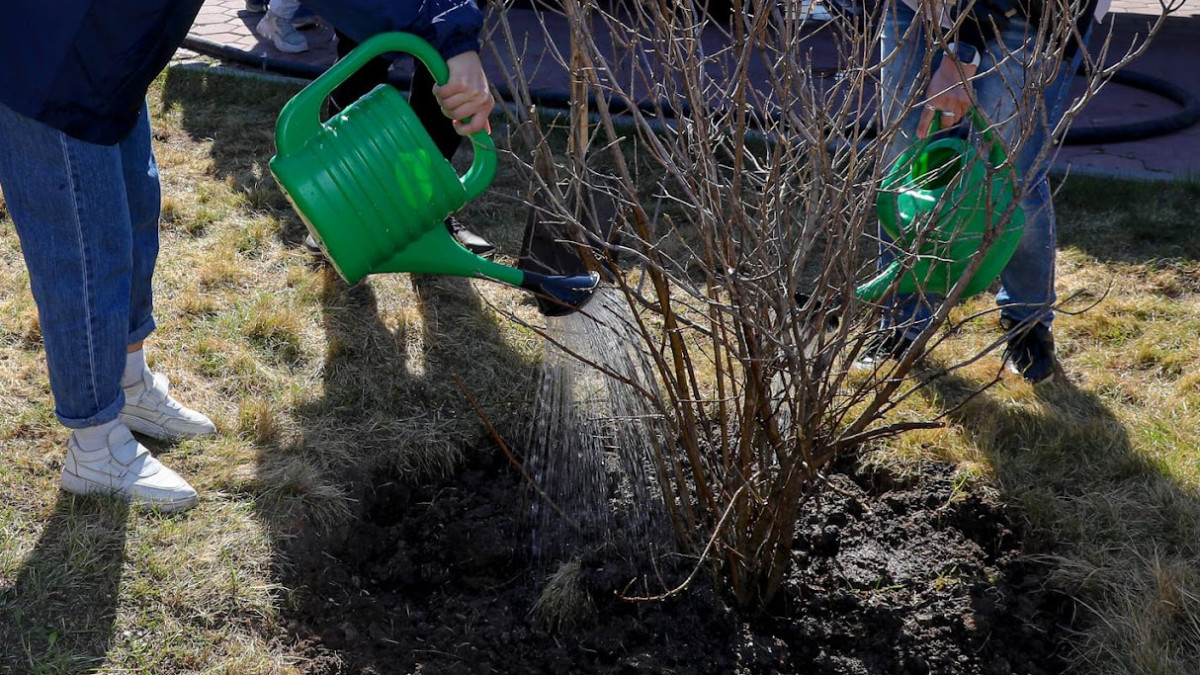  BAQ.KZ архиві/Бауыржан Жуасбаев