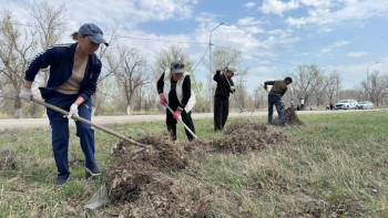 Фотография к новости: «Таза Қазақстан»: Жетісу облысында 25 тонна қатты тұрмыстық қалдық шығарылды