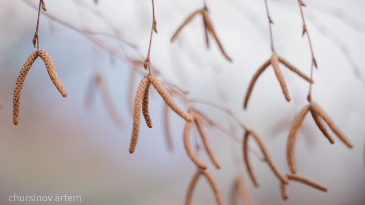  ©BAQ.KZ архиві/Артем Чурсинов