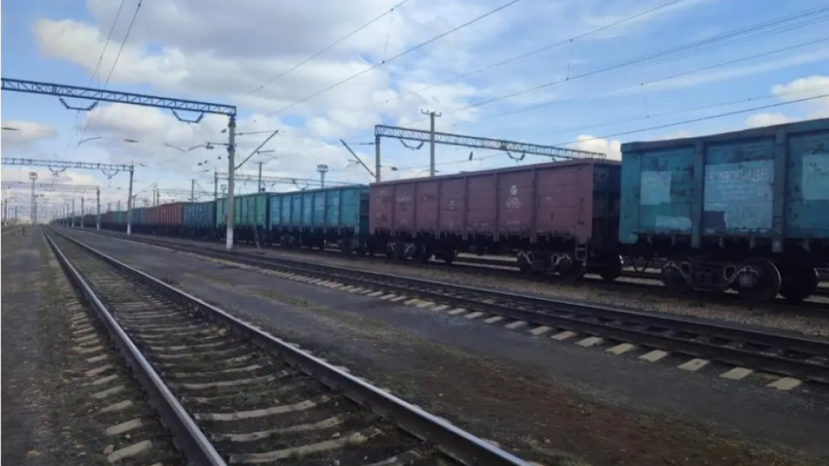  instagram/nayza_kokshe