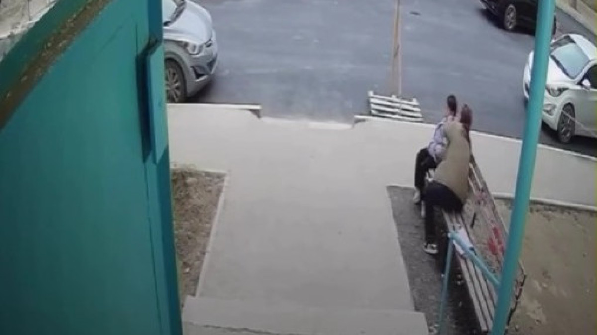  видеодан скриншот